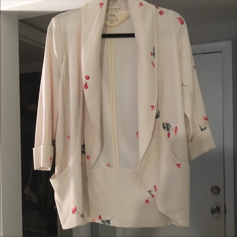 aritzia jacket